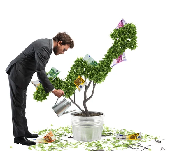 Empresário molhando árvore dinheiro — Fotografia de Stock