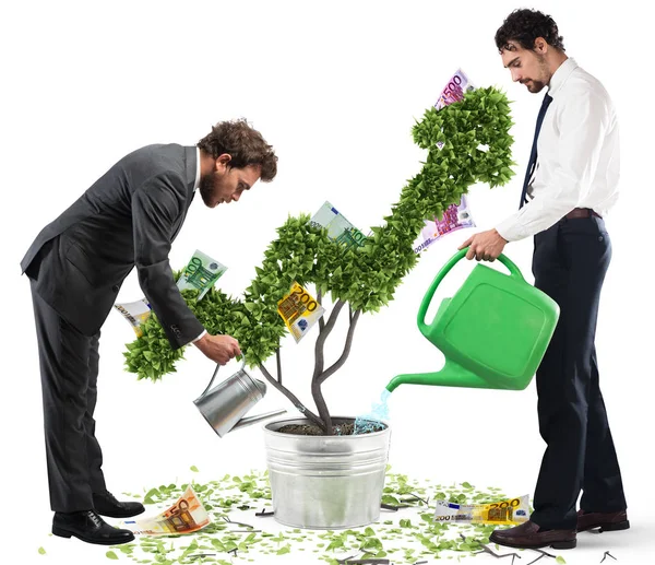 Empresarios regando planta de dinero — Foto de Stock