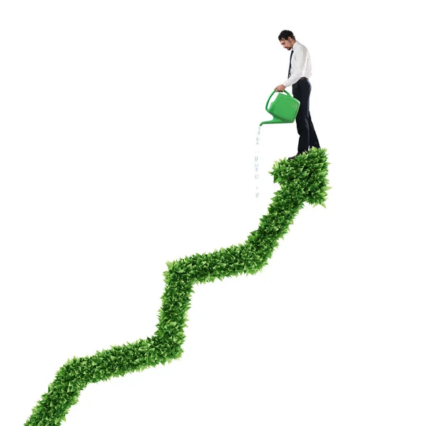 Businessman watering a big plant — Stock Photo, Image