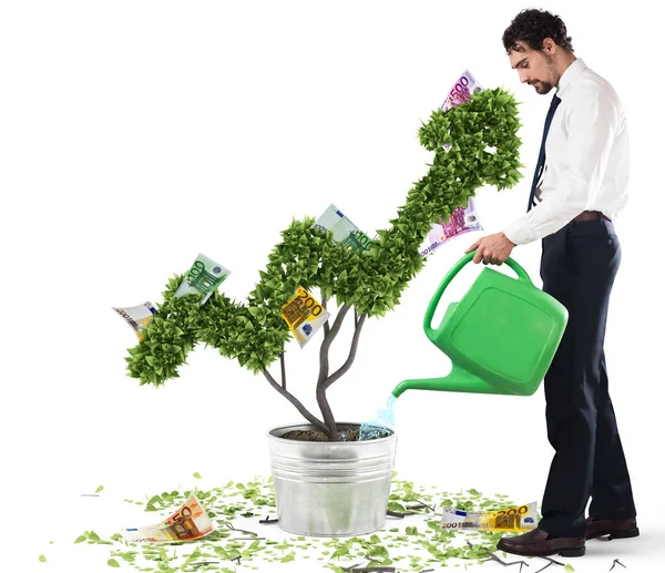 Empresário molhando árvore dinheiro . — Fotografia de Stock