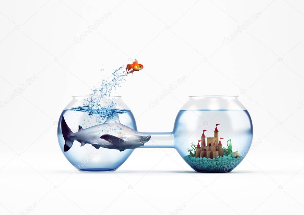 Goldfish leaping in an aquarium with a castle
