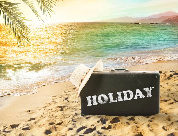 Suitcase in a tropical beach — Stock Photo, Image