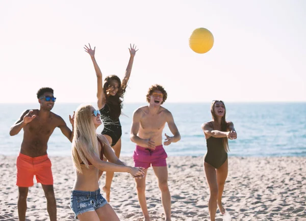 Grupo de amigos jugando al voleibol en la playa — Foto de Stock