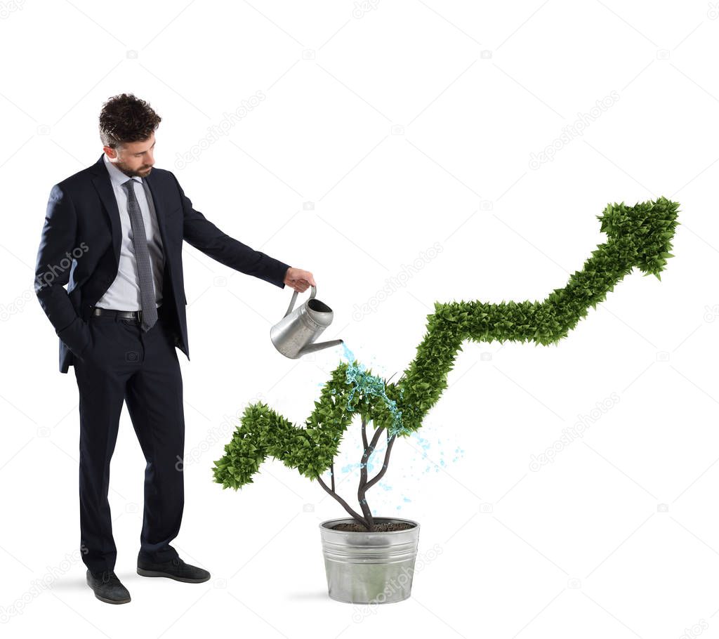 Businessman watering a plant 