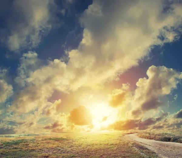 Схід сонця на панорамі зеленого поля — стокове фото