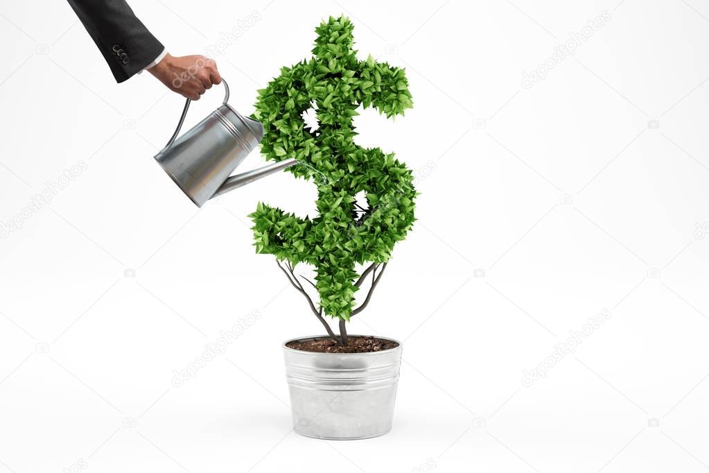 Businessman watering a plant 