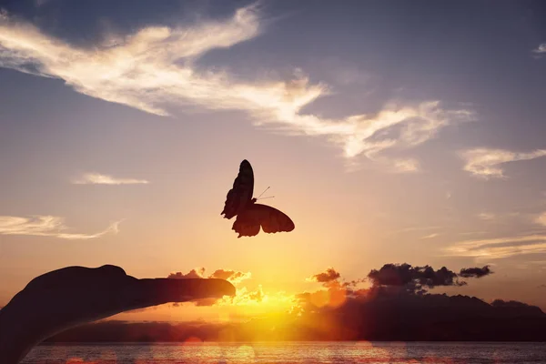 Vlinder neemt vlucht uit een menselijke hand — Stockfoto