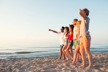 Mutlu arkadaşlar eğlenmeye ocean beach adlı grup
