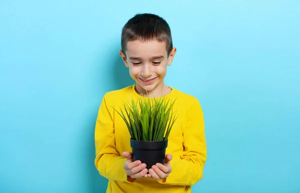 Criança feliz segura uma pequena árvore pronta para ser plantada. Conceito de florestação — Fotografia de Stock