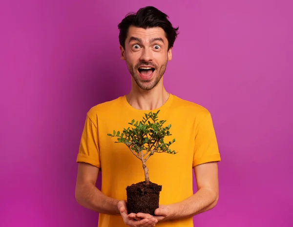 Glücklicher Junge hält einen kleinen Baum bereit, der über einer hellen Farbe gepflanzt werden kann. Konzept von Aufforstung, Ökologie und Naturschutz — Stockfoto