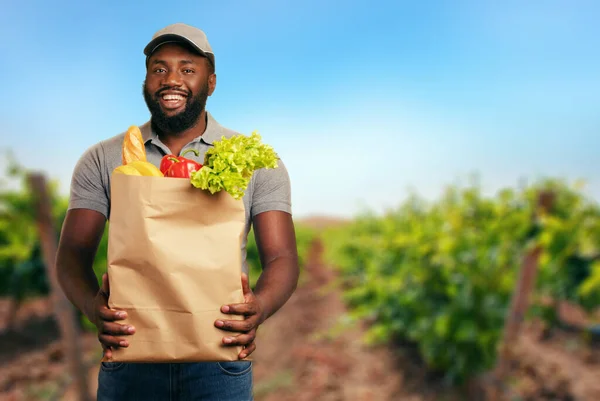 Fattorino con un sacchetto della spesa pieno di cibo con l'orto da cui arrivano i prodotti — Foto Stock