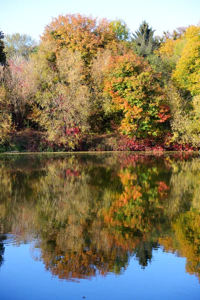 Τα φθινοπωρινά χρώματα των δένδρων κοντά σε ποταμό, ξενοδοχείο Tserkva, Ουκρανία — Φωτογραφία Αρχείου