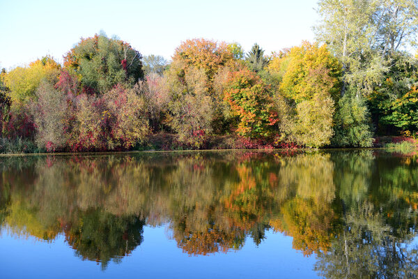 The autumn colors of trees near river, Bila Tserkva, Ukraine