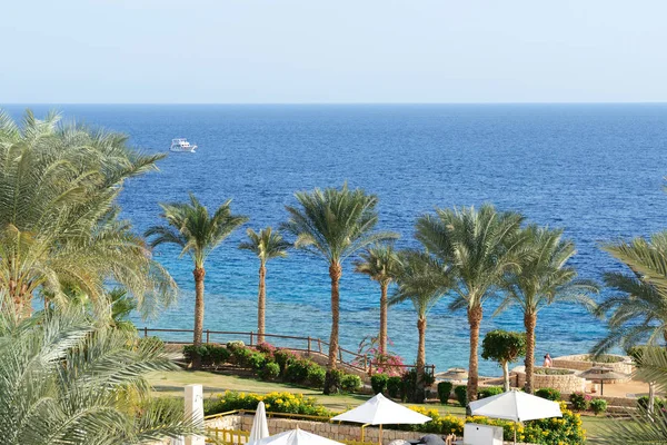 エジプト、シャルム・エル・シェイクの高級ホテルのビーチ — ストック写真
