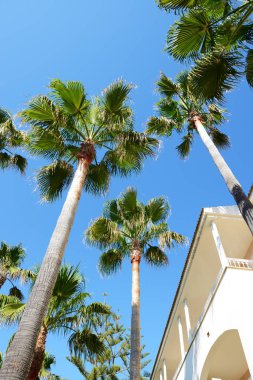 Palms luxury Hotel, Mallorca, İspanya