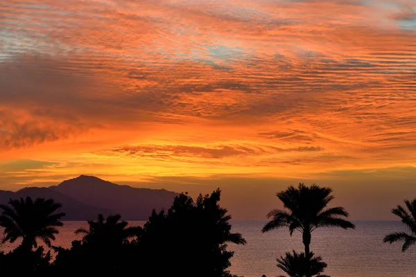 Sonnenreis und Strand mit Blick auf die tirische Insel im Luxushotel Sharm el Sheikh, Ägypten — Stockfoto