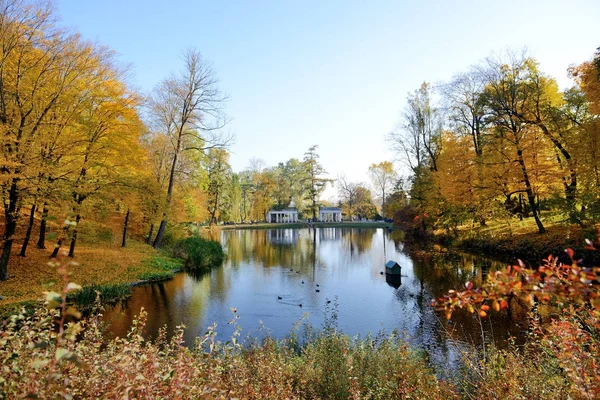 Das gelbe Laub auf Bäumen im olexandria Park, bila tserkva, Ukraine — Stockfoto