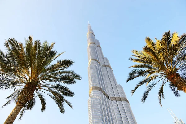 Dubai, Ηνωμένα Αραβικά Εμιράτα - 19 Νοεμβρίου: Η θέα στον ουρανοξύστη Burj Khalifa και φοίνικες. Είναι Ψηλότερος ουρανοξύστης του κόσμου (ύψος 828 μ., 160 ορόφους) στις 19 Νοεμβρίου 2017 — Φωτογραφία Αρχείου