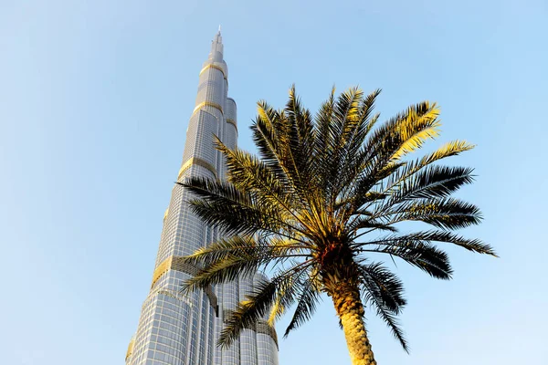 ДУБАЙ, ОАЭ - 19 НОЯБРЯ: Вид на Бурдж Халифа и пальму. Это самый высокий небоскреб в мире (высота 828 м, 160 этажей) на 19 ноября 2017 года — стоковое фото