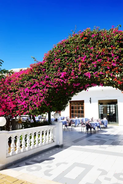 La terraza al aire libre en el hotel de lujo, Sharm el Sheikh, Egipto — Foto de Stock