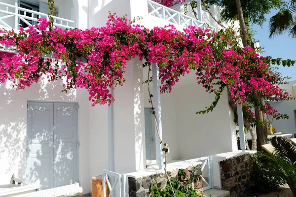 Costruzione di hotel in stile tradizionale greco, isola di Santorini, Grecia — Foto Stock