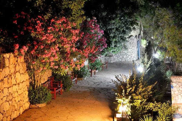 Podświetlona Ścieżka Luksusowym Hotelu Bougainvillea Kwiaty Marmaris Turcja — Zdjęcie stockowe