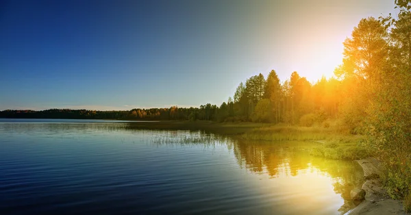 Autumn forest on the bank of the river. Royalty Free Stock Images