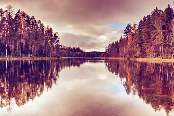 Bosque de otoño en la orilla del río . — Foto de Stock