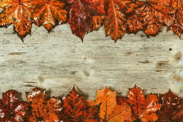 Осіннє листя на дерев'яному фоні . — стокове фото