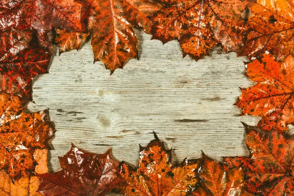 Autumn leaves on a wooden background. — Stock Photo, Image