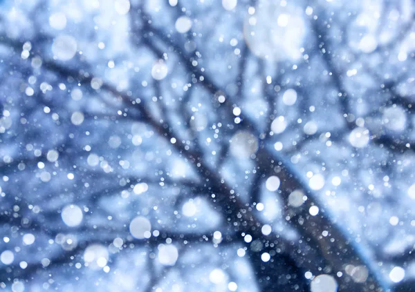 Vallende sneeuw uit de lucht onder de bomen. — Stockfoto