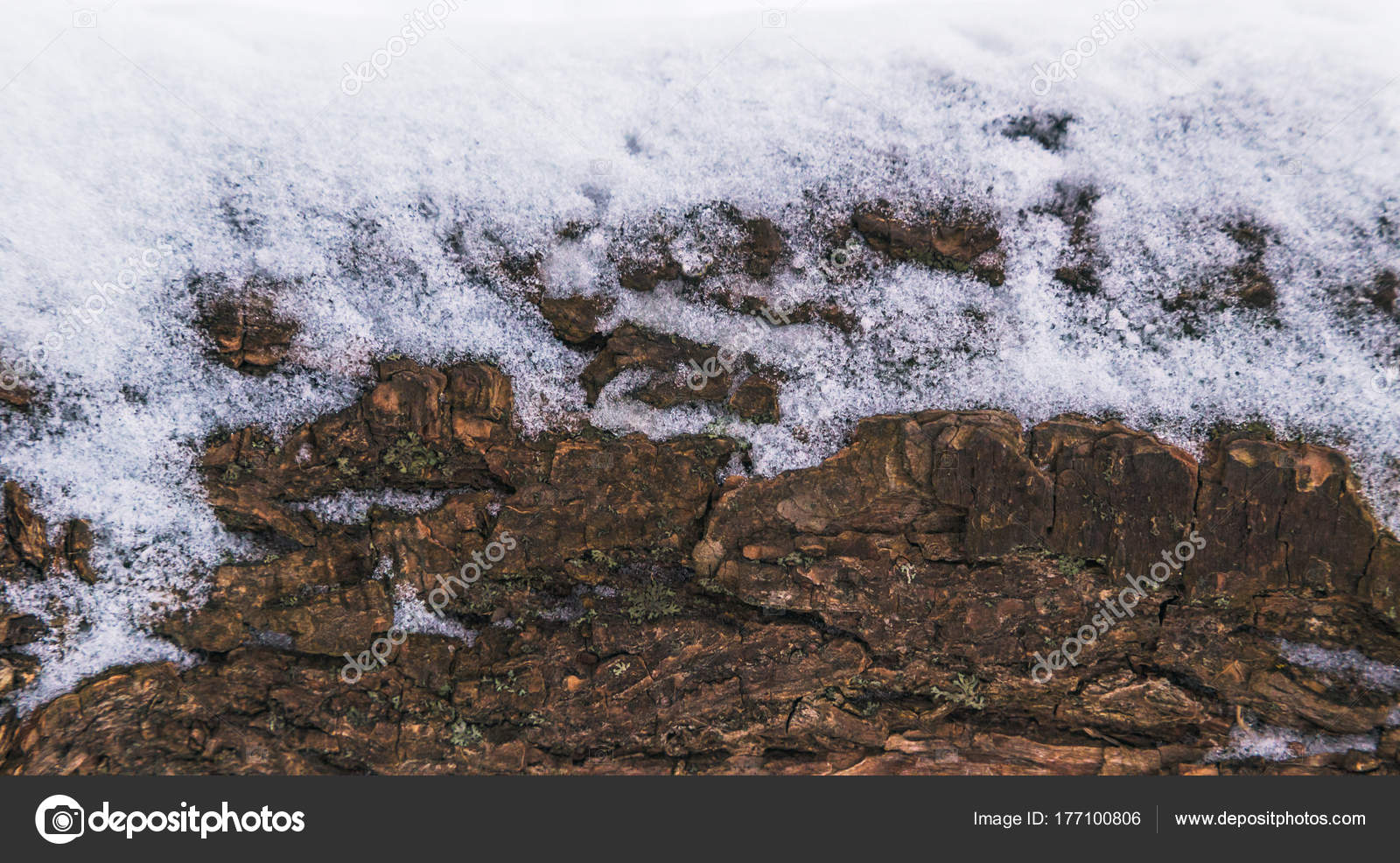 Brown Wood Texture With Snow Christmas Background Stock Photo Image By C Khamidulin Brown Wood Texture With Snow Christmas Background Stock Photo Image By C Khamidulin
