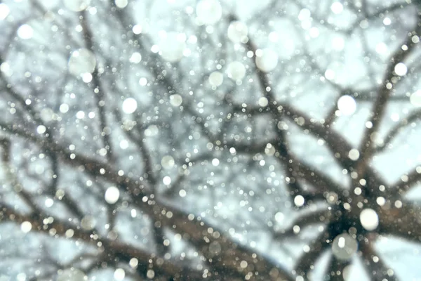 Caduta neve dal cielo sotto gli alberi . — Foto Stock