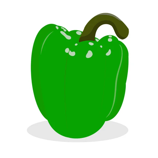 Paprika. Vectorillustratie. Groene peper op witte achtergrond — Stockvector