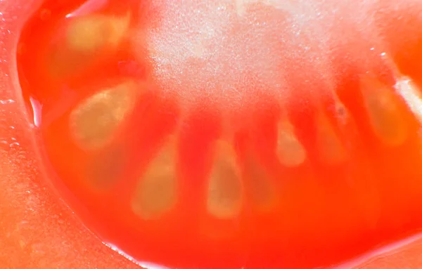Tomate tranchée gros plan macro photo . — Photo