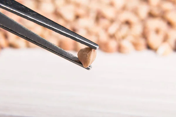 Buckwheat grains close-up. Macro photography. — Stock Photo, Image