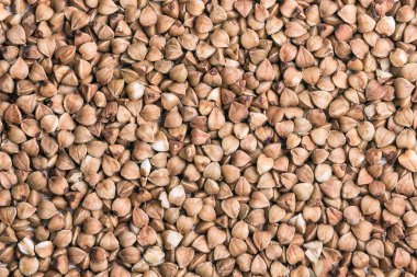 Buğday taneleri yakın çekim. Makro fotoğrafçılık.