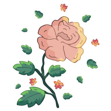 Beyaz arkaplanda pembe gül çiçeği.