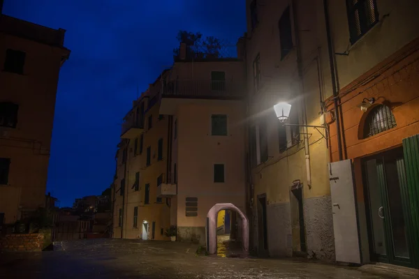 リオマッジョーレ村の夜のストリート — ストック写真