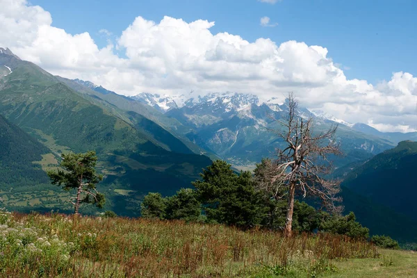 Wandelen in de bergen — Stockfoto