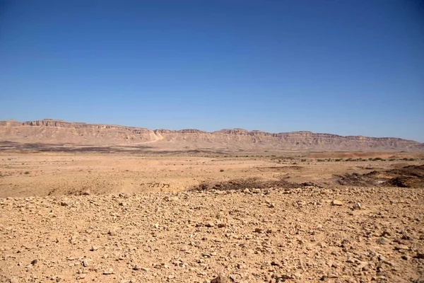 Desert travel landscape in Israel — Stock Photo, Image