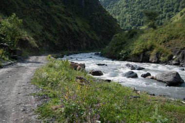 Gürcistan'daki dağ nehir