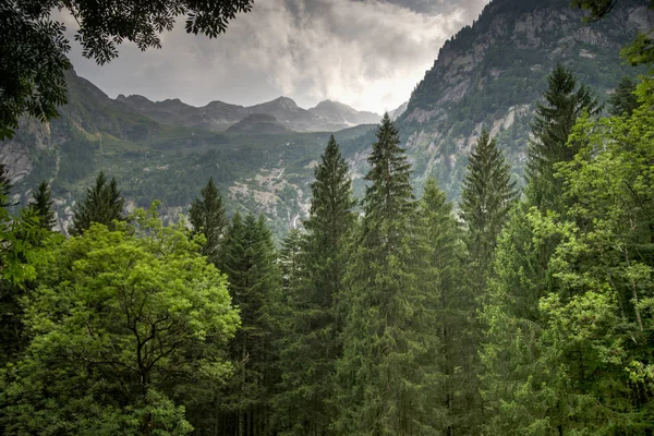 Bergslandskap i Alperna — Stockfoto