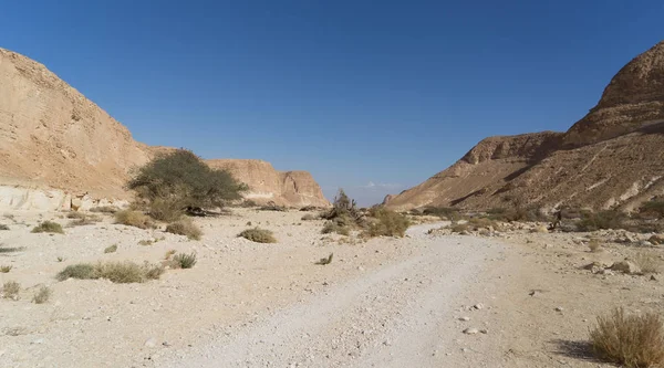 Arava Çölü İsrail'de seyahat — Stok fotoğraf