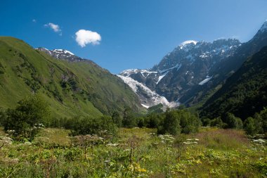 Çöl manzara seyahat etmek