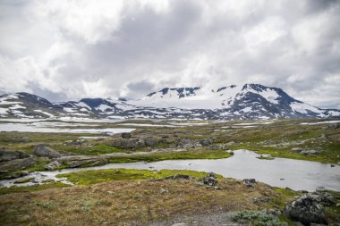 Norveç dağlarda yaz seyahat