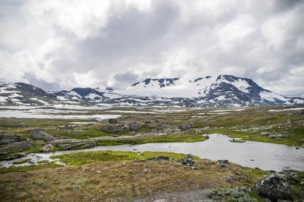 Resa i Norge-bergen på sommaren — Stockfoto