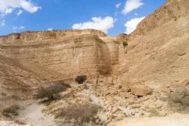 Arava Çölü İsrail'de seyahat