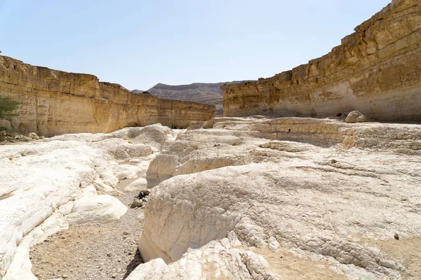 İsrail çöl seyahat — Stok fotoğraf