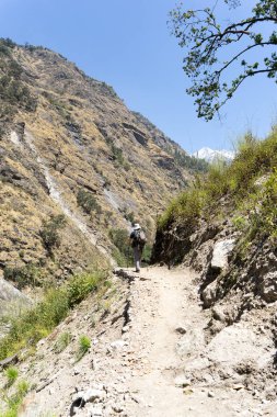 Nepal Langtang Vadisi'nde doğa yürüyüşü